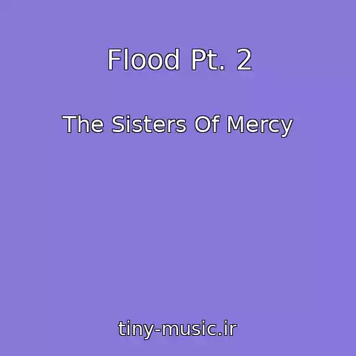 کاور آهنگ Flood Pt. 2 از The Sisters Of Mercy