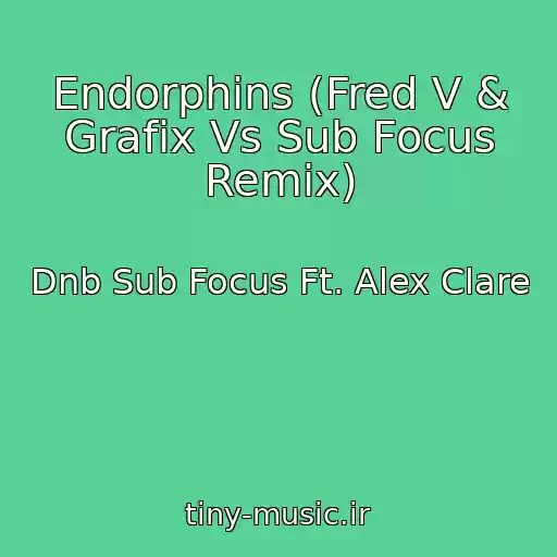 کاور آهنگ Endorphins (Fred V & Grafix Vs Sub Focus Remix) از Dnb Sub Focus Ft. Alex Clare