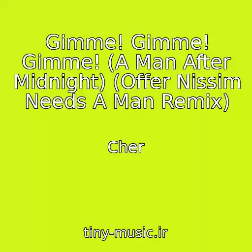 کاور آهنگ Gimme! Gimme! Gimme! (A Man After Midnight) (Offer Nissim Needs A Man Remix) از Cher