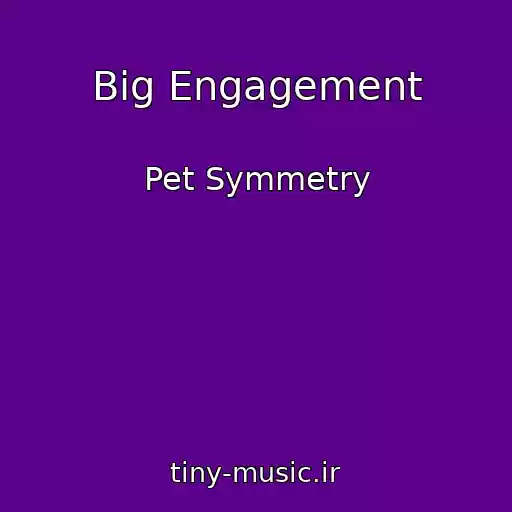 کاور آهنگ Big Engagement از Pet Symmetry