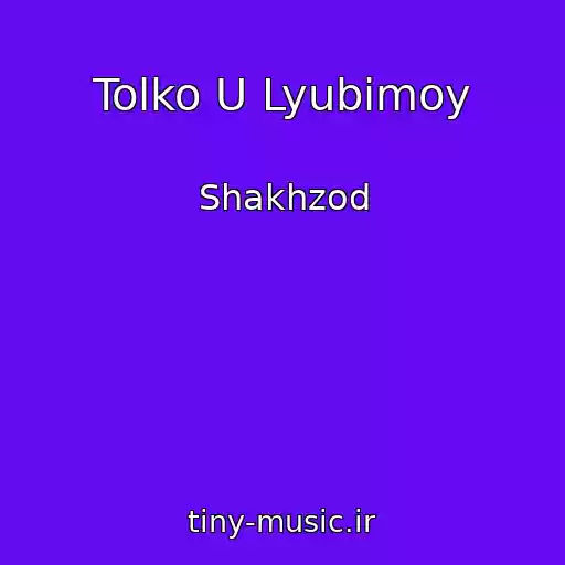کاور آهنگ Tolko U Lyubimoy از Shakhzod