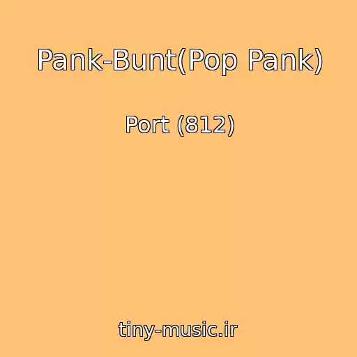 کاور آهنگ Pank-Bunt(Pop Pank) از Port (812)