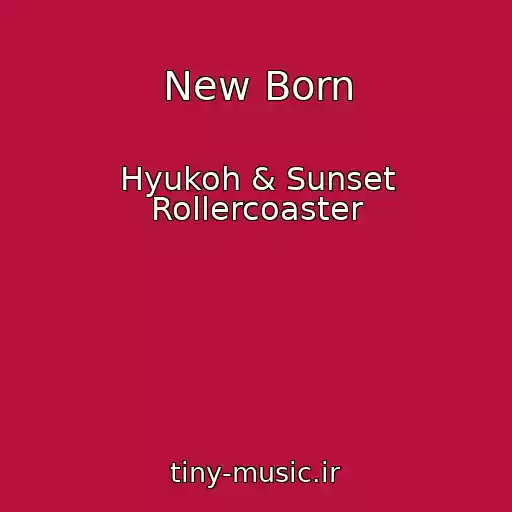 کاور آهنگ New Born از Hyukoh & Sunset Rollercoaster