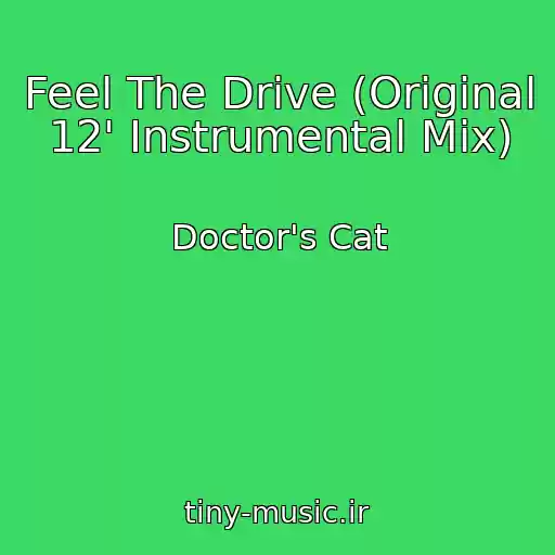 کاور آهنگ Feel The Drive (Original 12' Instrumental Mix) از Doctor's Cat