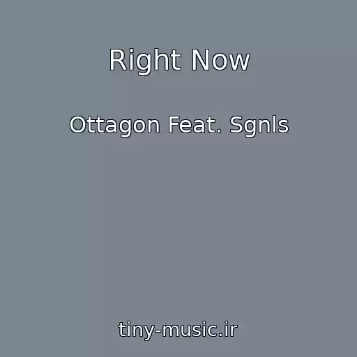 کاور آهنگ Right Now از Ottagon Feat. Sgnls