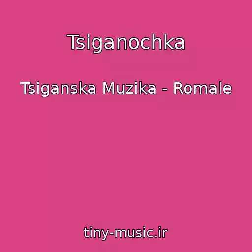 کاور آهنگ Tsiganochka از Tsiganska Muzika - Romale