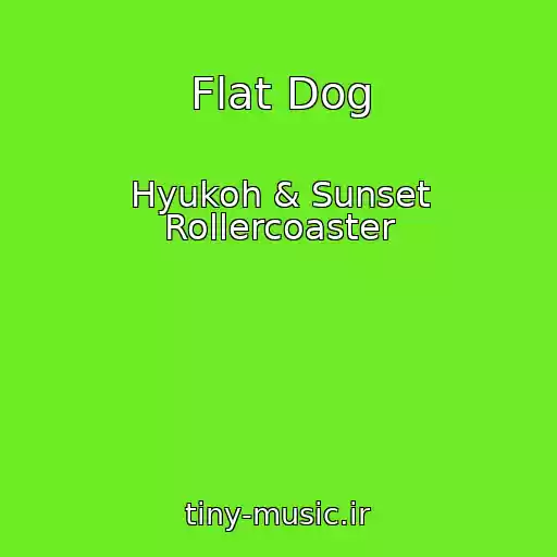کاور آهنگ Flat Dog از Hyukoh & Sunset Rollercoaster