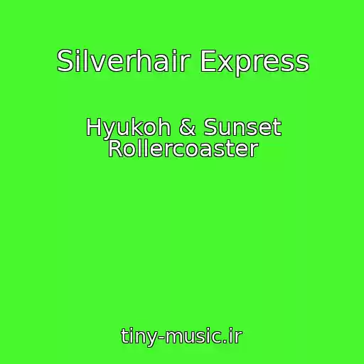 کاور آهنگ Silverhair Express از Hyukoh & Sunset Rollercoaster
