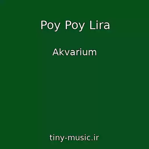 کاور آهنگ Poy Poy Lira از Akvarium