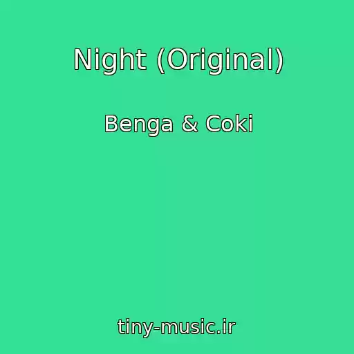 کاور آهنگ Night (Original) از Benga & Coki