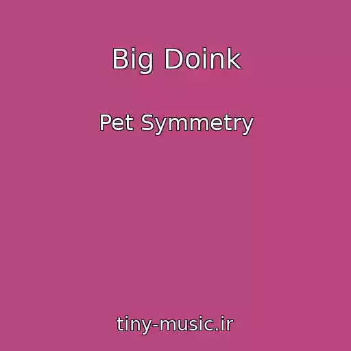 کاور آهنگ Big Doink از Pet Symmetry