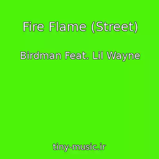 کاور آهنگ Fire Flame (Street) از Birdman Feat. Lil Wayne