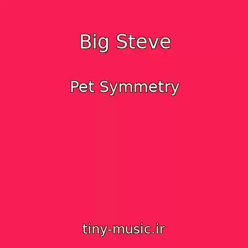 کاور آهنگ Big Steve از Pet Symmetry
