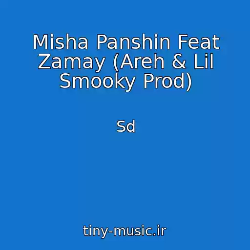 کاور آهنگ Misha Panshin Feat Zamay (Areh & Lil Smooky Prod) از Sd