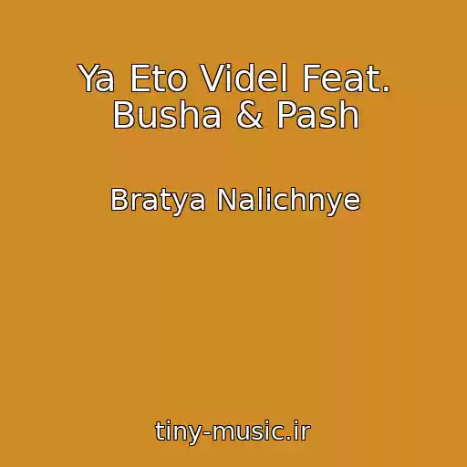کاور آهنگ Ya Eto Videl Feat. Busha & Pash از Bratya Nalichnye
