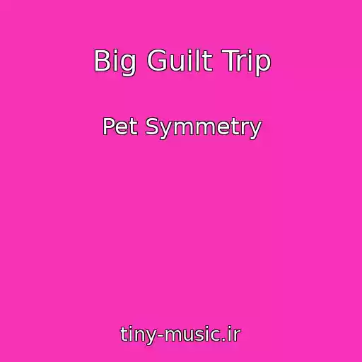 کاور آهنگ Big Guilt Trip از Pet Symmetry