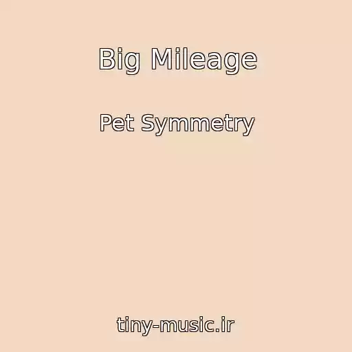 کاور آهنگ Big Mileage از Pet Symmetry