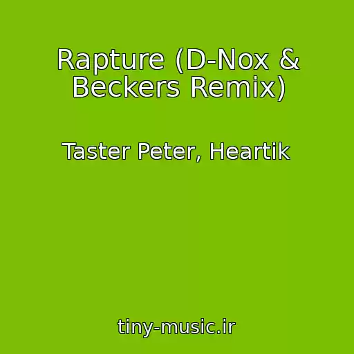 کاور آهنگ Rapture (D-Nox & Beckers Remix) از Taster Peter, Heartik