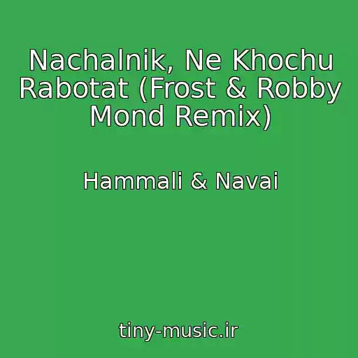 کاور آهنگ Nachalnik, Ne Khochu Rabotat (Frost & Robby Mond Remix) از Hammali & Navai