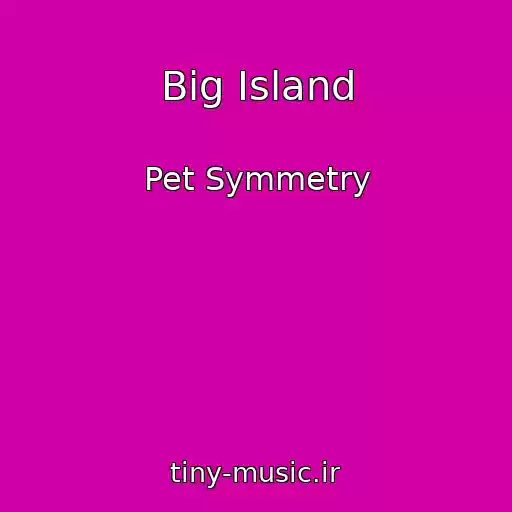 کاور آهنگ Big Island از Pet Symmetry