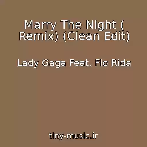 کاور آهنگ Marry The Night ( Remix) (Clean Edit) از Lady Gaga Feat. Flo Rida