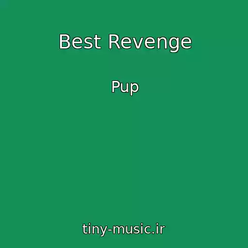 کاور آهنگ Best Revenge از Pup