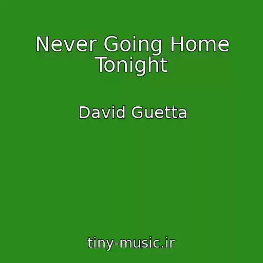کاور آهنگ Never Going Home Tonight از David Guetta