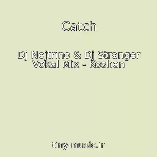 کاور آهنگ Catch از Dj Nejtrino & Dj Stranger Vokal Mix - Koshen