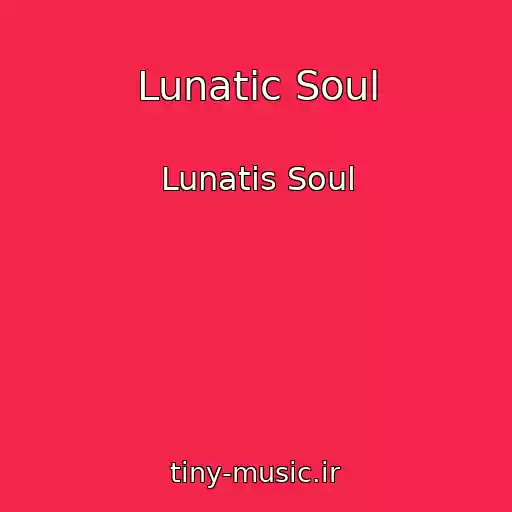 کاور آهنگ Lunatic Soul از Lunatis Soul