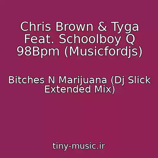 کاور آهنگ Chris Brown & Tyga Feat. Schoolboy Q 98Bpm (Musicfordjs) از Bitches N Marijuana (Dj Slick Extended Mix)