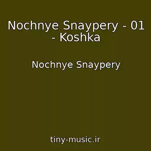کاور آهنگ Nochnye Snaypery - 01 - Koshka از Nochnye Snaypery