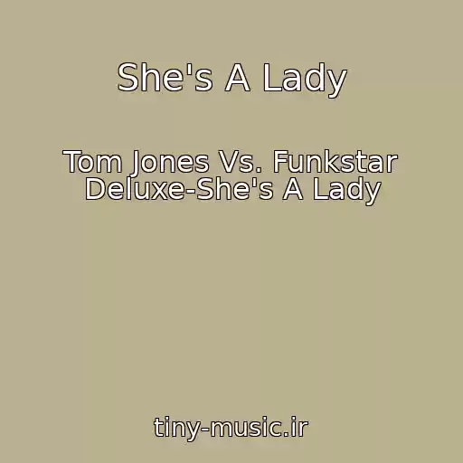 کاور آهنگ She's A Lady از Tom Jones Vs. Funkstar Deluxe-She's A Lady