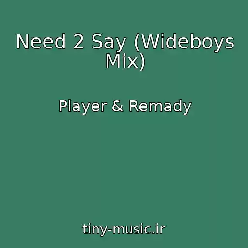 کاور آهنگ Need 2 Say (Wideboys Mix) از Player & Remady