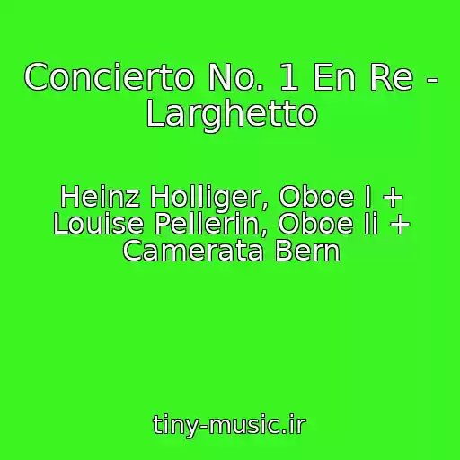 کاور آهنگ Concierto No. 1 En Re - Larghetto از Heinz Holliger, Oboe I + Louise Pellerin, Oboe Ii + Camerata Bern