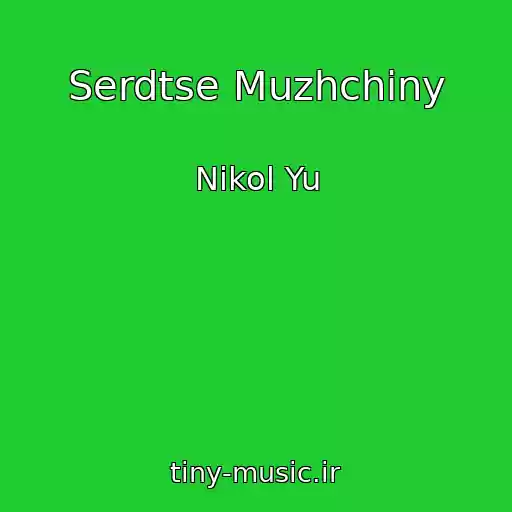 کاور آهنگ Serdtse Muzhchiny از Nikol Yu