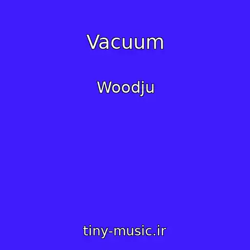 کاور آهنگ Vacuum از Woodju