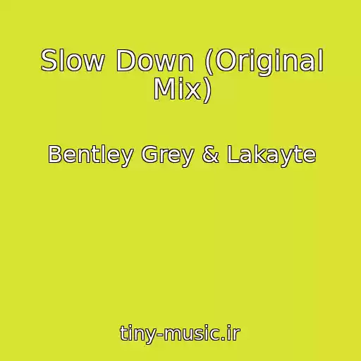 کاور آهنگ Slow Down (Original Mix) از Bentley Grey & Lakayte