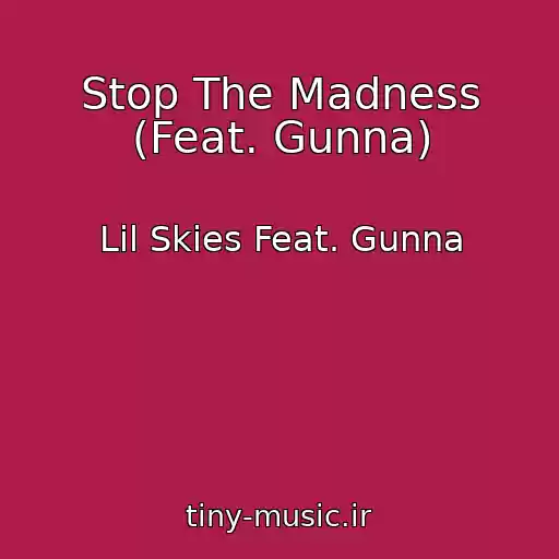 کاور آهنگ Stop The Madness (Feat. Gunna) از Lil Skies Feat. Gunna
