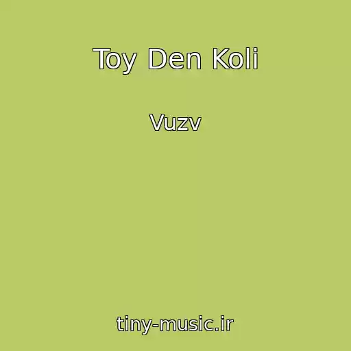 کاور آهنگ Toy Den Koli از Vuzv