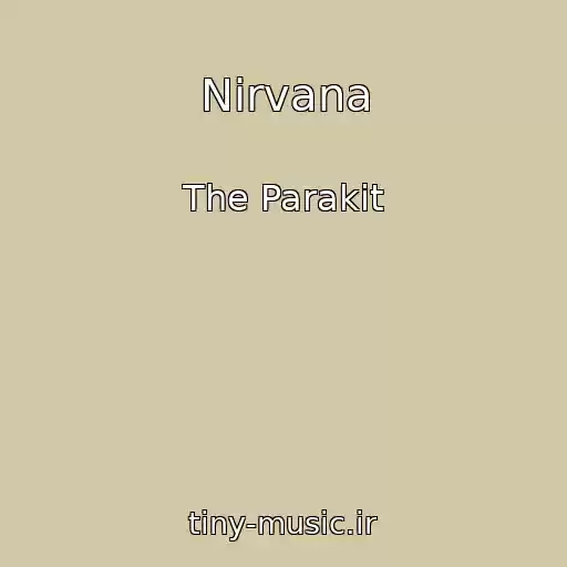 کاور آهنگ Nirvana از The Parakit