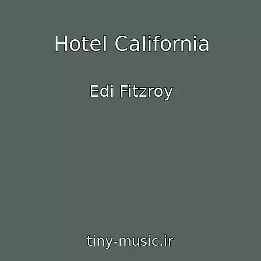 کاور آهنگ Hotel California از Edi Fitzroy