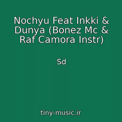 کاور آهنگ Nochyu Feat Inkki & Dunya (Bonez Mc & Raf Camora Instr) از Sd