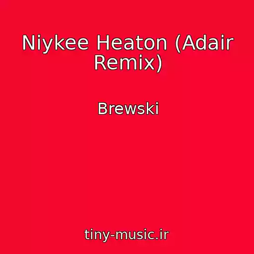 کاور آهنگ Niykee Heaton (Adair Remix) از Brewski