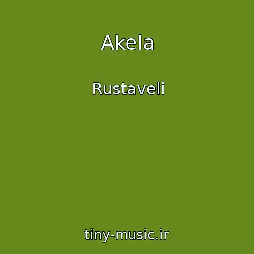 کاور آهنگ Akela از Rustaveli