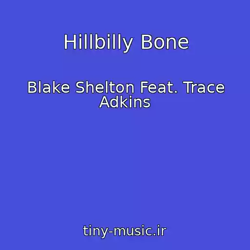 کاور آهنگ Hillbilly Bone از Blake Shelton Feat. Trace Adkins