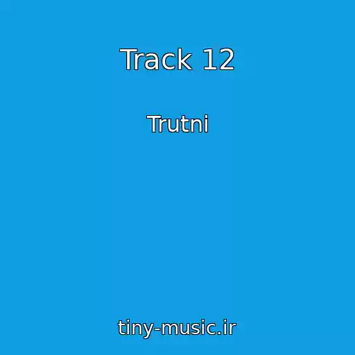کاور آهنگ Track 12 از Trutnі