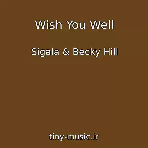کاور آهنگ Wish You Well از Sigala & Becky Hill