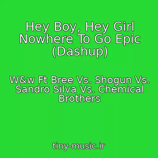 کاور آهنگ Hey Boy, Hey Girl Nowhere To Go Epic (Dashup) از W&w Ft Bree Vs. Shogun Vs. Sandro Silva Vs. Chemical Brothers