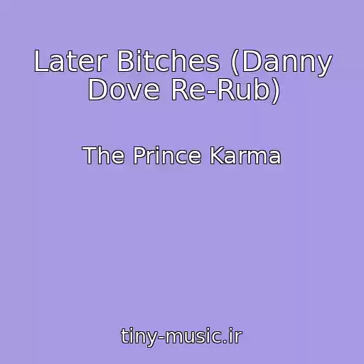 کاور آهنگ Later Bitches (Danny Dove Re-Rub) از The Prince Karma