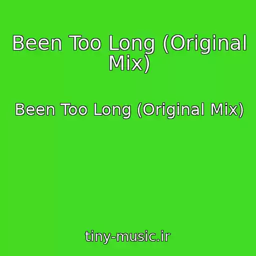کاور آهنگ Been Too Long (Original Mix) از Been Too Long (Original Mix)